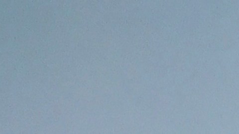 ¡Rompe el monopolio! Live Nation libera Ticketmaster y paga $280 millones