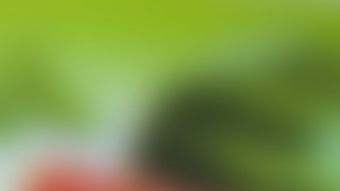 ¿Cómo extender su pago del Seguro Social manteniendo las facturas al día y ahorrando dinero?