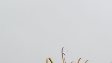 Familiares de donadores y receptores se unen en una caminata.