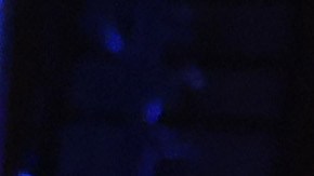 Conor Benn salió victorioso, aunque recibió muchas críticas