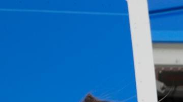 Papa: "El mundo está siendo destruido por pocos tiranos"