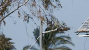 Líbano exige un alto al fuego para conversar con Israel