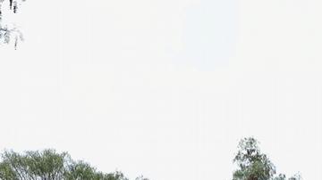 Reabren pirámides de México tras ataque armado a turistas