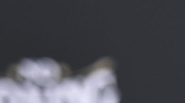 Boxer Canelo Alvarez poses for photos after placing his hands in cement during a ceremony in his honor on Saturday, March 20, 2021, in Los Angeles. (Photo by Richard Shotwell/Invision/AP)