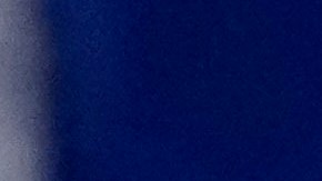 Xander Zayas busca la unificación en su categoría