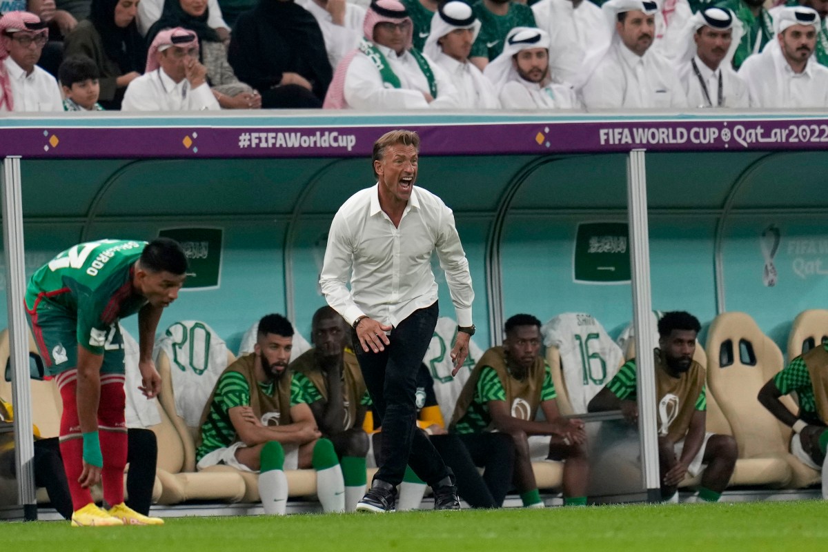 Hervé Renard, DT de Arabia Saudí, despedido a solo dos meses