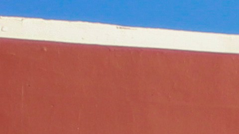 EE.UU. impone restricciones de visa a 75 familiares o personas relacionadas al Cártel de Sinaloa