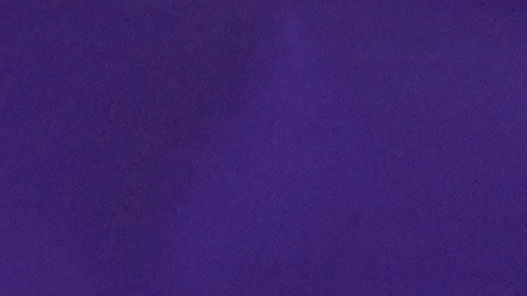 El TPS para miles será analizado en la Corte Suprema.