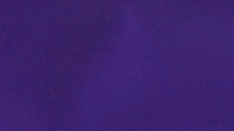 El TPS para miles será analizado en la Corte Suprema.