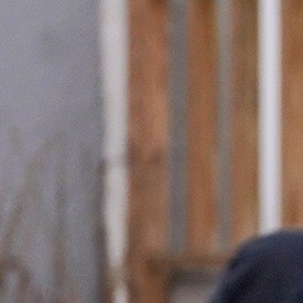 Las operaciones migratorias bajo el gobierno de Trump han sido más intensas.