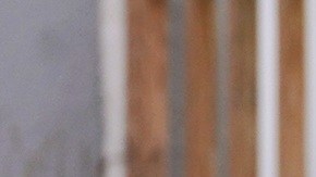 Las operaciones migratorias bajo el gobierno de Trump han sido más intensas.