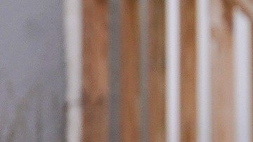 Las operaciones migratorias bajo el gobierno de Trump han sido más intensas.