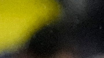 Mascherano se marcha con un solo título en el bolsillo.