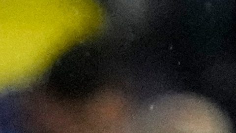 Mascherano se marcha con un solo título en el bolsillo.