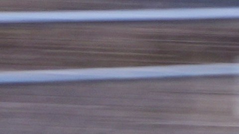Driver Pato O'Ward runs during the qualifying for the IndyCar Grand Prix of Arlington auto race, Saturday, March 14, 2026, in Arlington, Texas. (AP Photo/LM Otero)