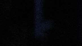 Austin Reaves sufrió una lesión muscular y ha sido descartado para el resto de la campaña regular.