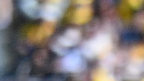 Désiré Doué celebra después de anotarle a Colombia en la fecha FIFA.