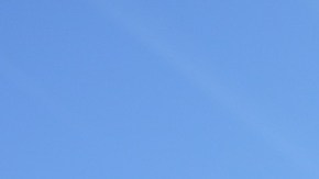 Manifestantes se congregan frente a la Corte Suprema mientras los magistrados escuchan los argumentos sobre ciudadanía por nacimiento.