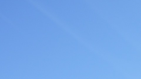 Manifestantes se congregan frente a la Corte Suprema mientras los magistrados escuchan los argumentos sobre ciudadanía por nacimiento.