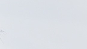 El precio de la gasolina sigue en aumento en EE.UU.