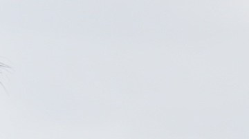 El precio de la gasolina sigue en aumento en EE.UU.