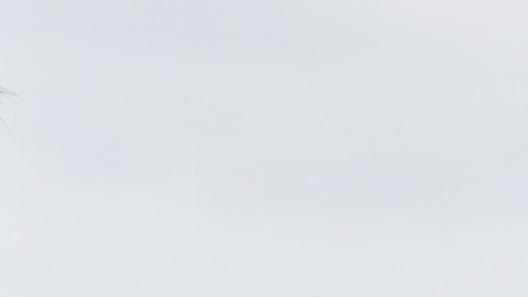 El precio de la gasolina sigue en aumento en EE.UU.