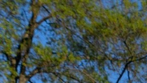 Activistas protestan frente a la Casa Blanca contra la guerra en Irán.