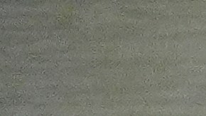 Algunos candidatos a gobernador de California: Xavier Becerra, Matt Mahan, Steve Hilton, Betty Yee (anunció su retiro el lunes), Tom Steyer y Antonio Villaraigosa.