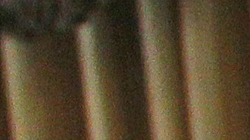 Juan Manuel Márquez analizó el regreso de Fury al ring