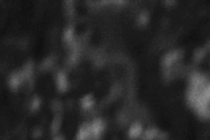 Davey Lopes, de los Dodgers, realiza un tiro desde la segunda base mientras recibe la embestida del legendario Pete Rose, de los Phillies de Philadelphia, en un partido de 1980 en Los Ángeles. Lopes falleció a los 80 años.