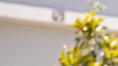 Una práctica natural, barata y sencilla que puede ayudar a prevenir la miopía infantil