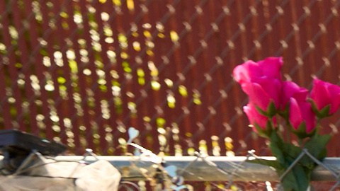 FILE - A makeshift Memorial for Celeste Rivas Hernandez, who was killed and found inside a vehicle owned by singer D4vd, is placed outside her home in Lake Elsinore, Calif., on April 21, 2026. (AP Photo/Damian Dovarganes, file)