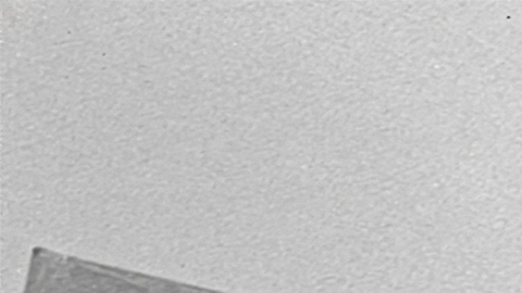 "American Pachuco: The Legend of Luis" es uno de los títulos que conforman la programación del Festival de Cine de Sundance: CDMX.