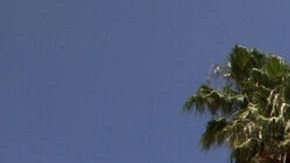 Integrantes de la Asociación de Enfermeras de California