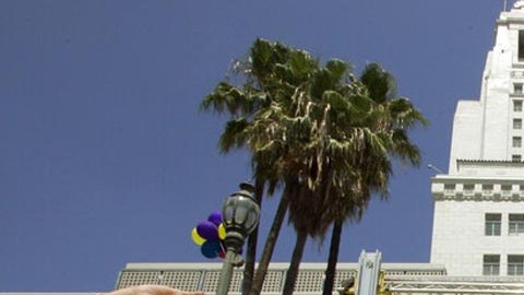 Integrantes de la Asociación de Enfermeras de California