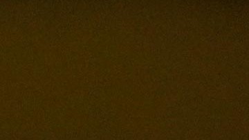 Chuck Schumer, líder de la minoría en el Senado