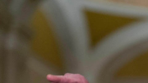 Chuck Schumer, líder de la minoría del Senado