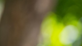 Los riesgos de las bebidas energéticas: el caso de la muerte de la porrista no es único