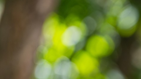 Los riesgos de las bebidas energéticas: el caso de la muerte de la porrista no es único