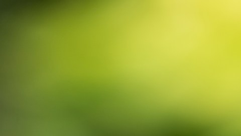 Casi la mitad de los estadounidenses respira aire insalubre, según nuevo informe