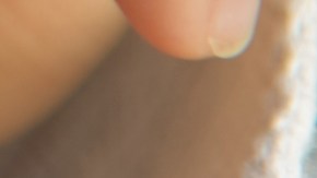 El auge de los productos de cuidado de la piel a base de animales: sebo de res y esperma de salmón