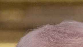 Donald Trump y Claudia Sheinbaum