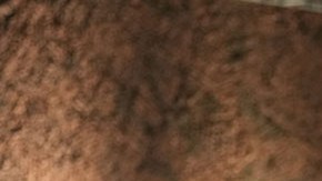 Donald Trump, presidente estadounidense