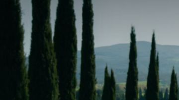 El gran Ferrari Purosangue Handling Speciale