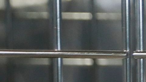 Expertos advirten a votantes que deben envir su voto con anticipación para ser tomado en cuenta