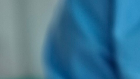 Capacidad de regeneración del hígado y su importancia