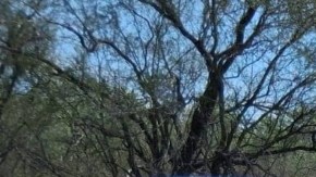Fosa clandestina en Tamaulipas