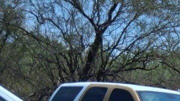 Fosa clandestina en Tamaulipas