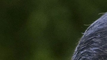 Hunter Biden, hijo del expresidente Joe Biden