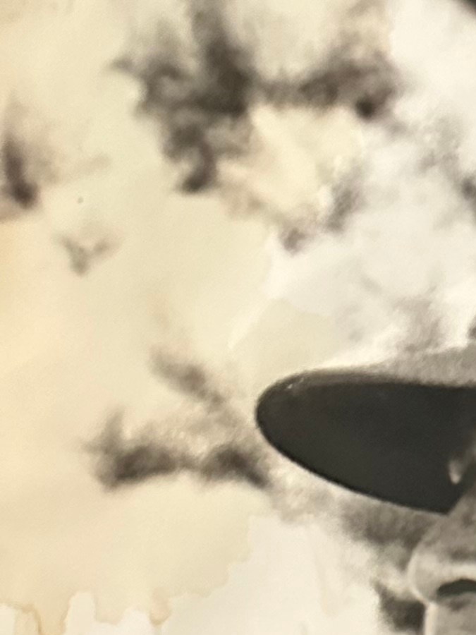 César Chávez acoso sexual